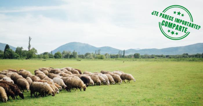 ¿Qué se necesita para lograr un desarrollo rural sostenible ...