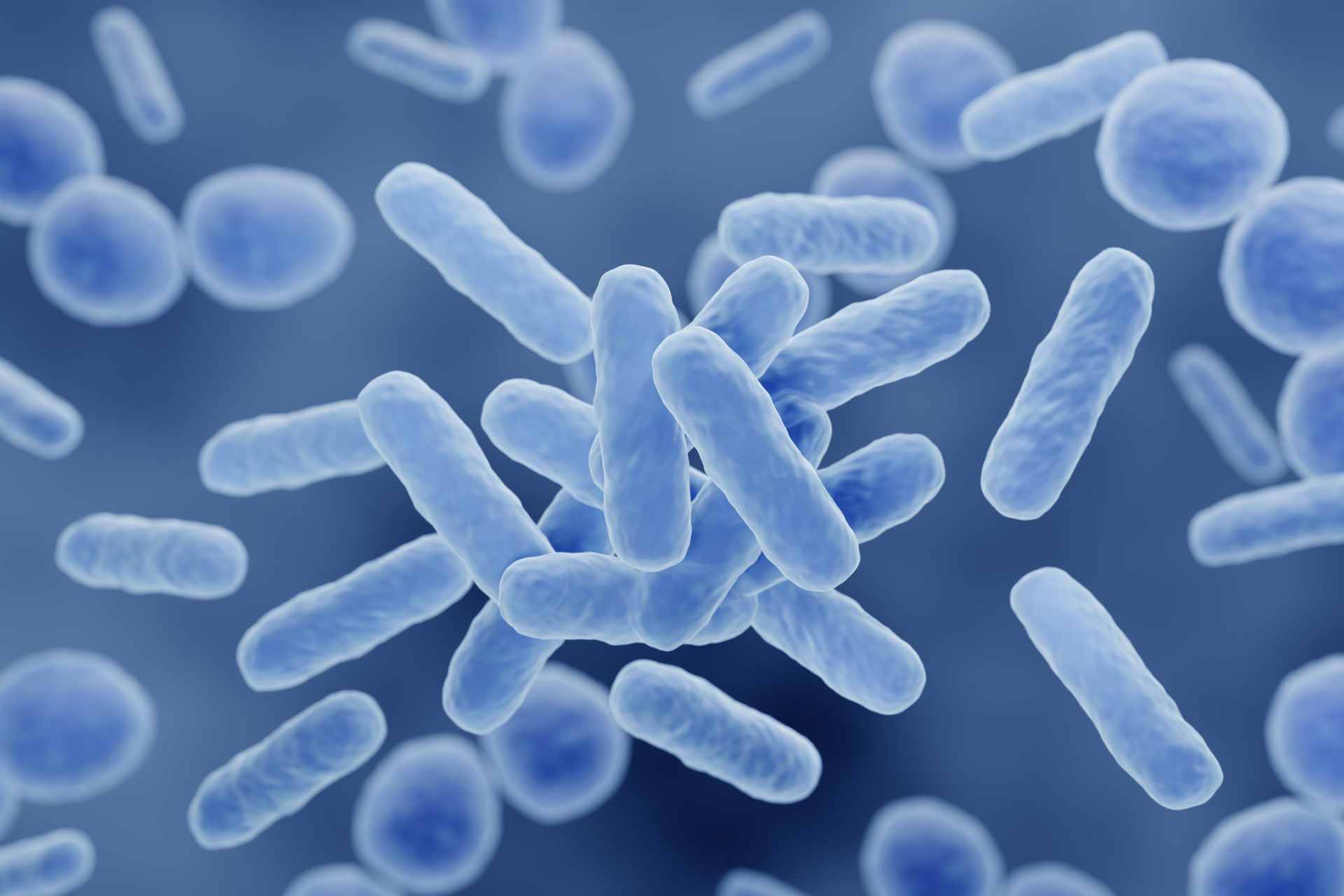 Postbiotics