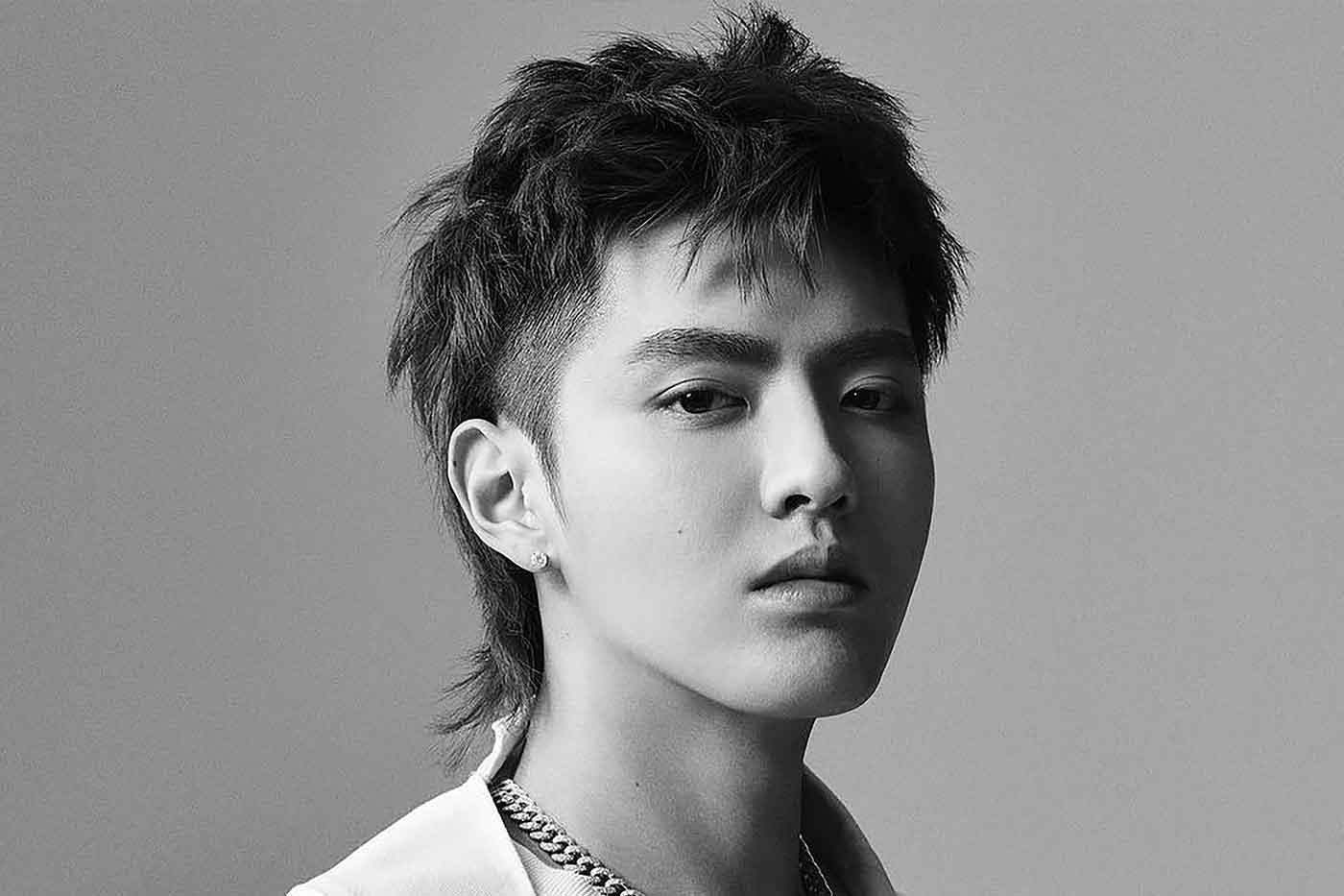 Fade Mullet