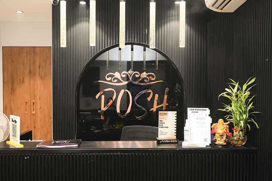 Posh Salon
