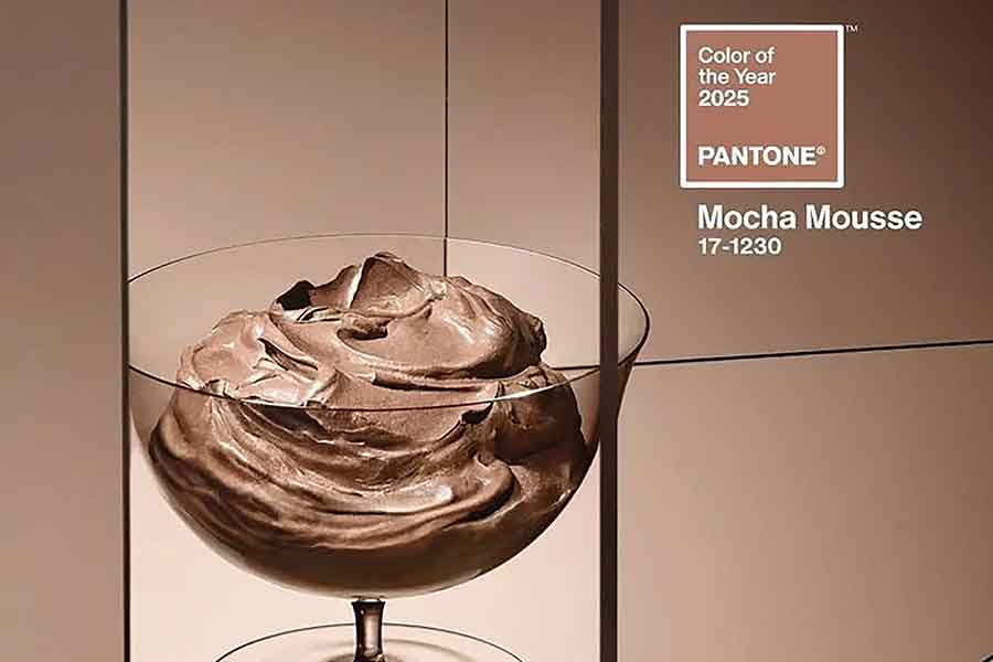 Pantone Mocha Mousse