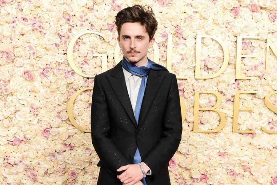 Timothee Chalamet