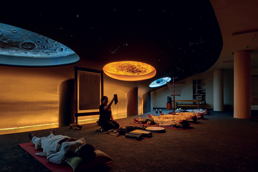 Wellness Features