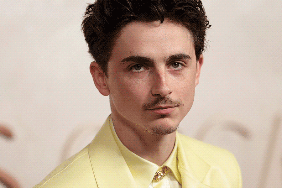 Timothée Chalamet