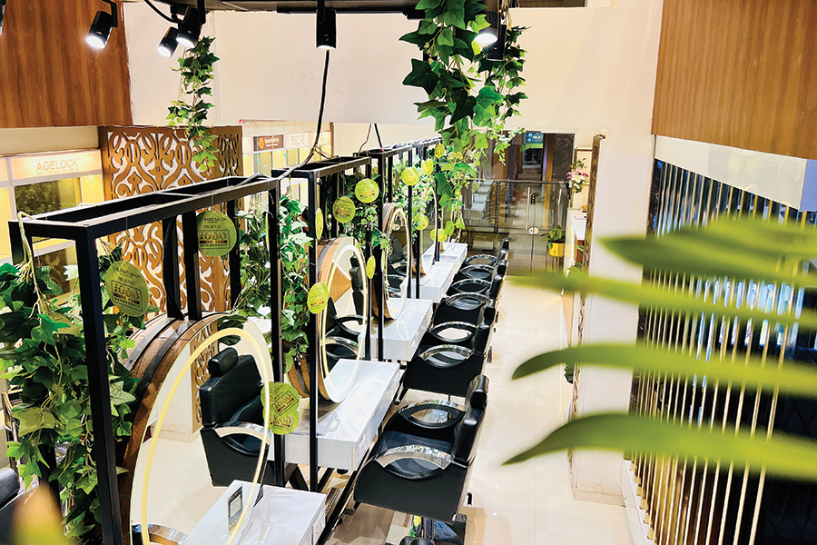 THE PARIS SALON