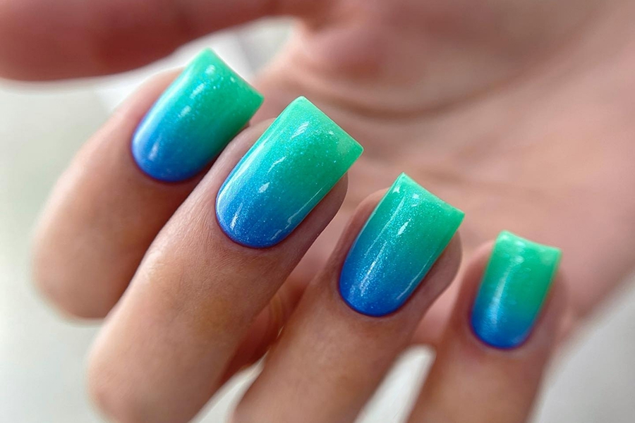 Electric Blue & Ocean Teal