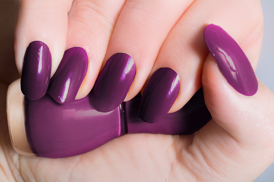 Regal Plum Purple