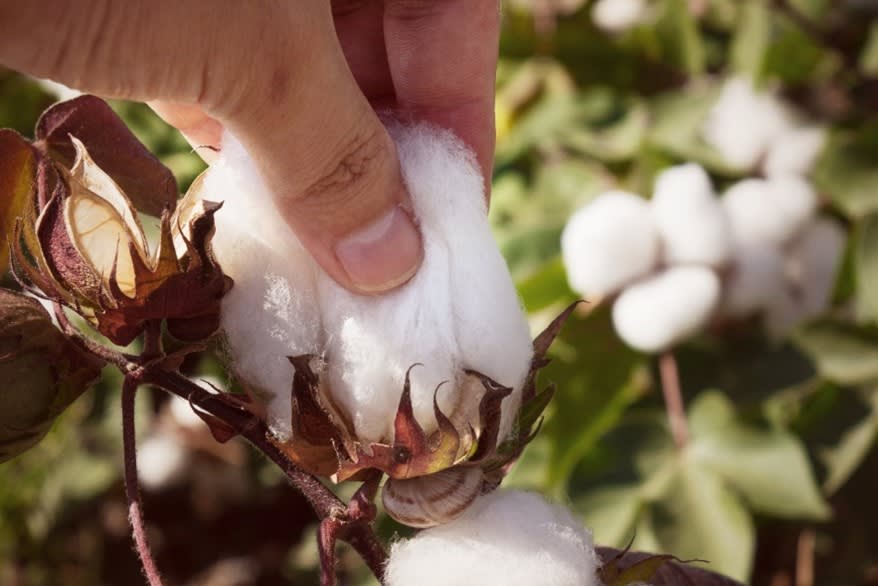 More Sustainable Materials - adidas Group