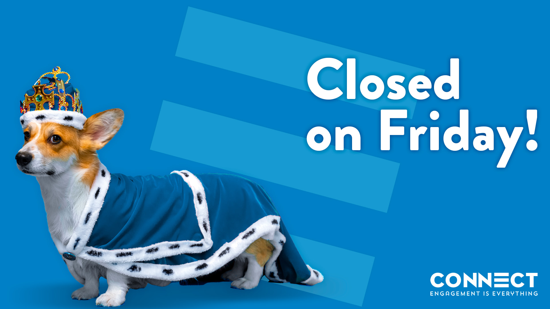 An image with a blue background and the Connect logo. To the left, is an image of a Corgi wearing a blue crown and blue royal cape, who the team have affectionately named Corgi McCorgiface. To the right is text that reads 'Closed on Friday'. The office is closed Friday 3 June for the Queen's Platinum Jubilee