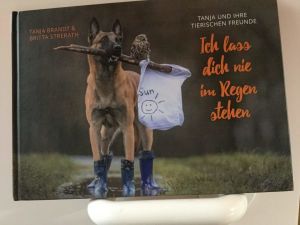 belgischer-schäferhund-kauz