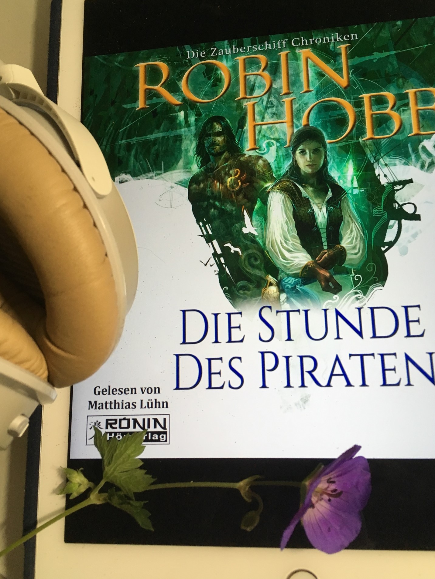 „Die Stunde des Piraten“ (Zauberschiffe 4)“ von Robin Hobb, gelesen von Matthias Lühn