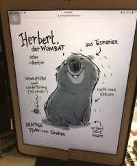 "König Guu" von Adam Stower (Rezension) | SCHREIBBLOGG 2025 Wombat Herbert