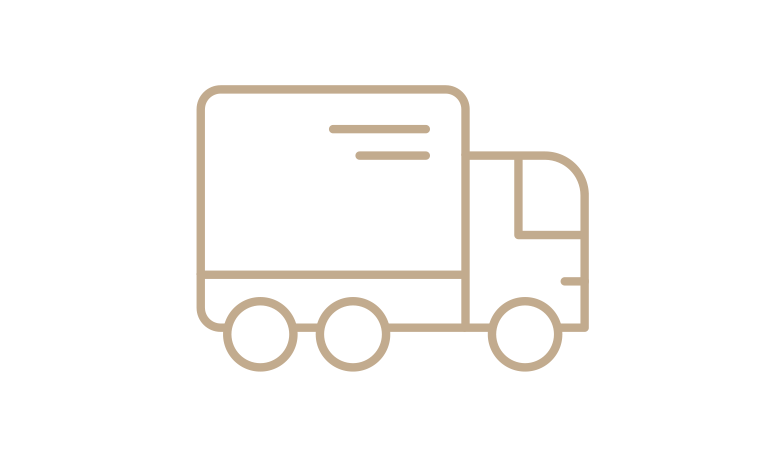 Dreamspot Delivery Icon