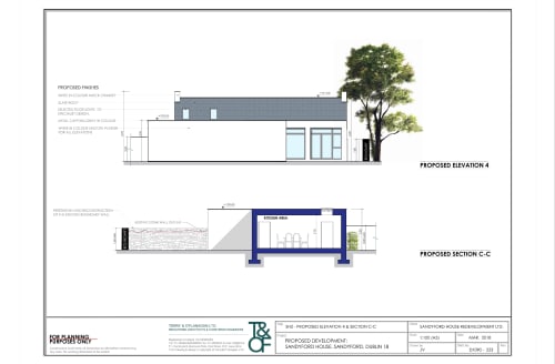 SANDYFORD HOUSE RENOVATION AND NEW BUILD photo 21