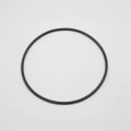 NOVO 60010559 O-RING BV HOUSING AQUAFLO PLATINUM 4.5X10 DOUBLE O-RINGS 2 REQ'D (sold by ea)