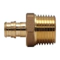 A.Y. McDonald 5423-259 72300EXM 1 Male Adapter, 1 in Nominal, Expansion PEX x MNPT End Style