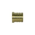 A.Y. McDonald 5423-037 72302 1/2 Plug, 1/2 in Nominal, PEX End Style, Brass, Import