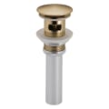 Brizo® RP72414GL Pushbutton Activated Pop-Up Drain Assembly, Luxe Gold, Brass Drain