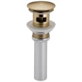 Brizo® RP72414GL Pushbutton Activated Pop-Up Drain Assembly, Luxe Gold, Brass Drain