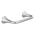 DELTA® 73350 Kayra™ Pivotal Tissue Holder, 2 in H, Polished Chrome, Import