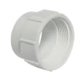 1-1/2" PVC DWV SPGXF CLEANOUT ADAPTER