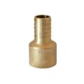 LEGEND 312-047NL Insert Female Adapter, 1-1/2 in Nominal, Barb x FNPT End Style, Bronze, Import