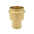 LEGEND LEGENDPressâ„¢ 450-855P Adapter, 1 in Nominal, Press x F1807 PEX End Style, Brass, Import