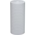 North Star® 7358365 Sediment Point-of-Entry Filter Cartridge, 10 in H, Import
