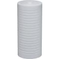 North Star® 7358373 Sediment Point-of-Entry Filter Cartridge, 10 in H, Import