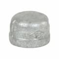 1-1/2" GAL MI CAP