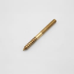 PASCO 120 1/4"X2-1/2" BRS CLOSET SCREW (C02808)