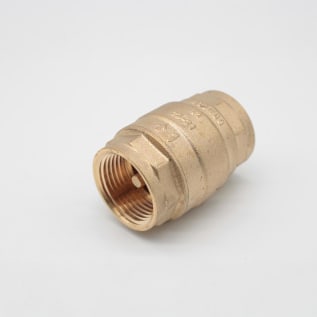 RWV® 232AB 1 In-Line Check Valve, 1 in Nominal, Thread End Style, 200 lb WOG, Forged Brass Body