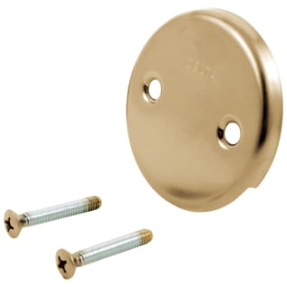 DELTA® RP31556CZ Overflow Plate and Screw, For Use With RP293 Toe-Operated Bathtub Drain/RP393 Bath Waste Assembly, Domestic