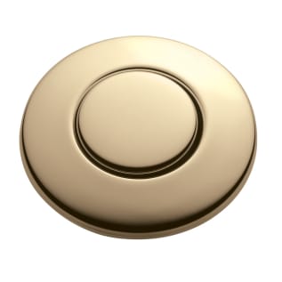 Insinkerator® 73274G STC-FG Button, For Use With Insinkerator® Sink Top Switch, Domestic