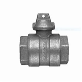 Mueller Co 300™ B-20283N 1 Ball Curb Valve, 1 in, FNPT