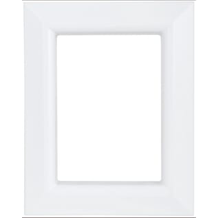 Sioux Chief OxBox™ 696-1F Single Frame, ABS, Painted, Domestic