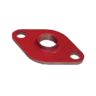 Bell & Gossett 101002 Companion Flange, For Use With Series 100, PR, NRF-22/33/36, NRF-9F/LW, PL-30/36/55, Ecocirc XL Circulator, 1 in NPT, Cast Iron