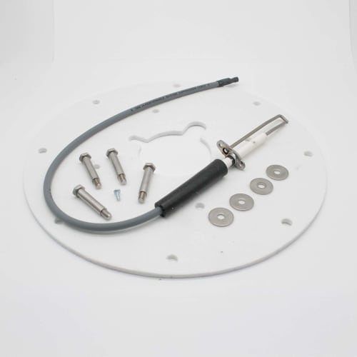 AO SMITH 100271889 SPARK IGNITOR ASSEMBLY (ANGLED)