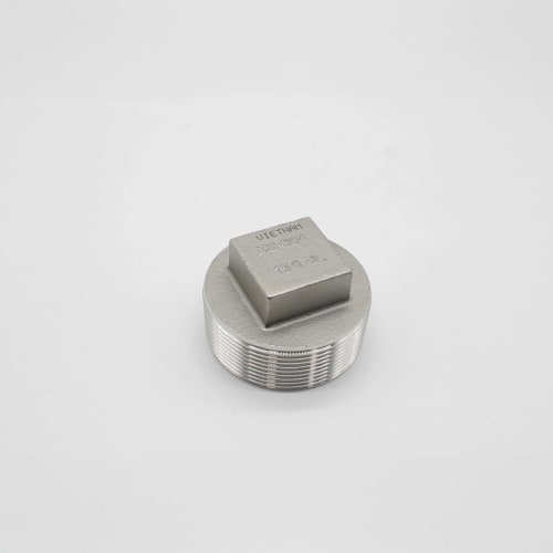 2" 150LB 304 SS THREADED PLUG