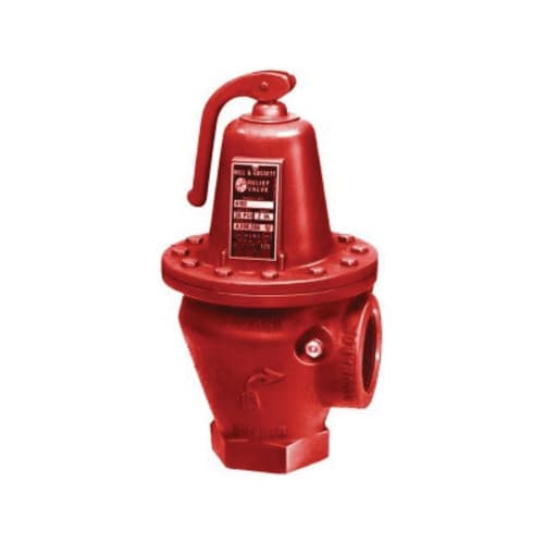 Bell & Gossett 110127 Safety Relief Valve With 3/4 in NPT Tapping, 3/4 in Nominal, NPT End Style, 125 psig Pressure, Brass Body