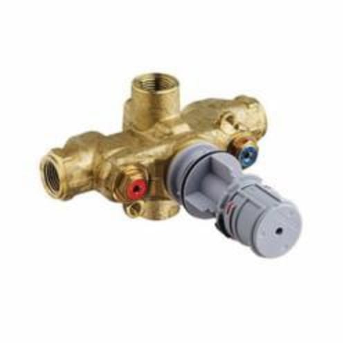 DXV D35000510.191 Wall Mixing Thermostatic Rough Valve With Built-in Check Stops, 1/2 in, NPT, Cast Brass Body