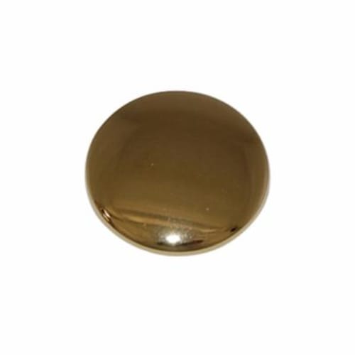 Toto® 3EU4005 Handle Cap, For Use With Mercer™ TL756DDL LifeKoat™ Polished Brass Lavatory Faucet, Polished Brass