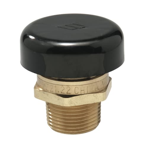 WATTS® 0556030 LFN36 Vacuum Relief Valve, 1/2 in, MNPT, 15 psi, 15 cfm, Brass Body