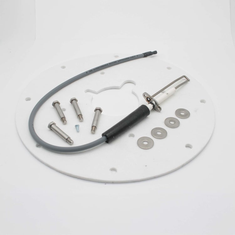 AO SMITH 100271889 SPARK IGNITOR ASSEMBLY (ANGLED)