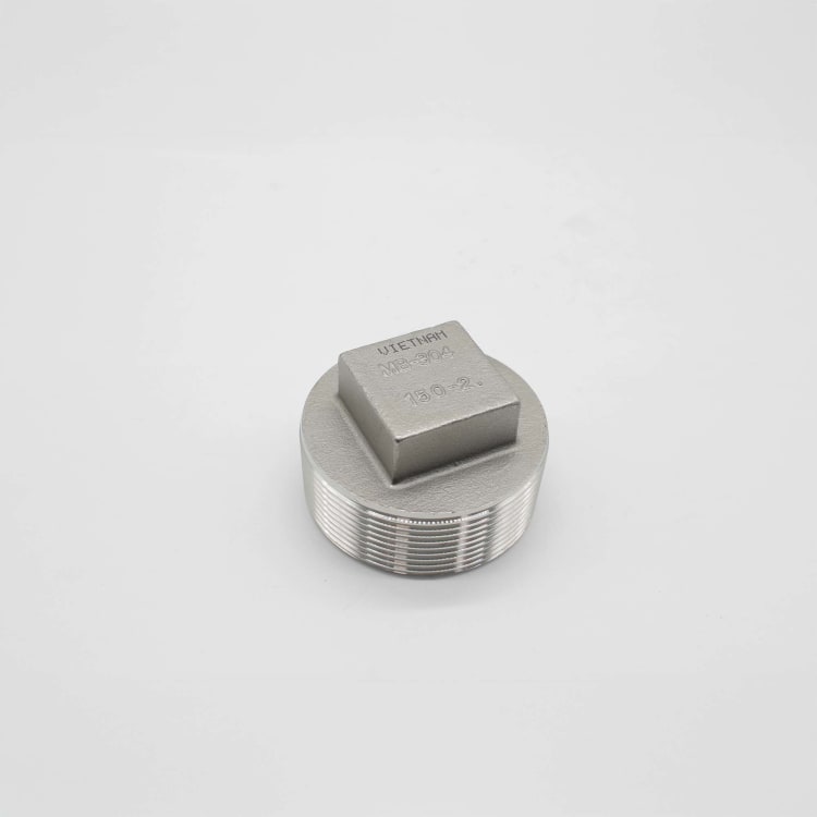 2" 150LB 304 SS THREADED PLUG