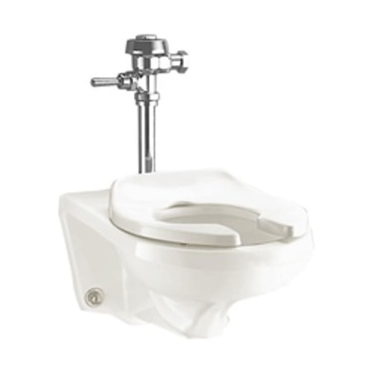 American Standard 2294.011EC.020 Afwall® FloWise® Everclean® Universal Flushometer Toilet Bowl, Elongated, 16-1/8 in H Rim, 1.28/1.6 gpf, White, Import