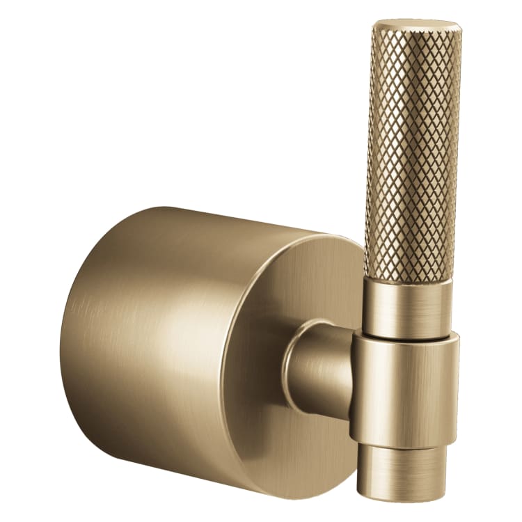 Brizo® HL7033-GL Litze Single Freestanding Tub Filler T-Lever Handle Kit, Luxe Gold, Import