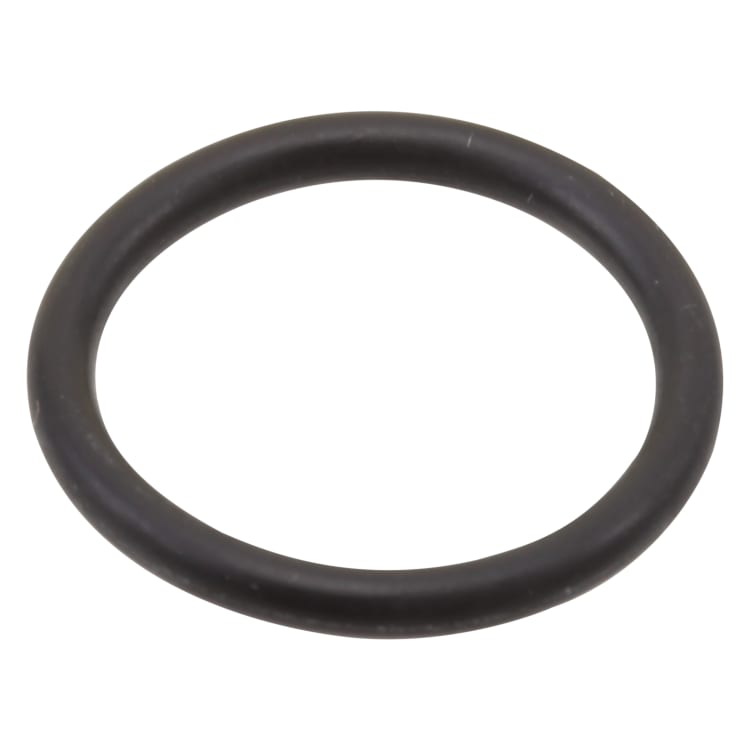 Brizo® RP31689 O-Ring, For Use With Models T75561, T75661 TempAssure® Thermostatic Valve Trim, Domestic