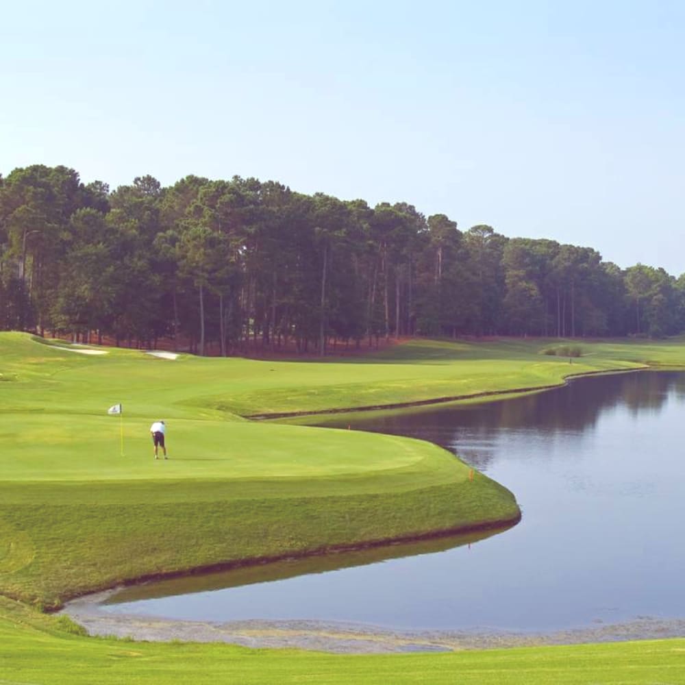Myrtle Beach Stay & Play