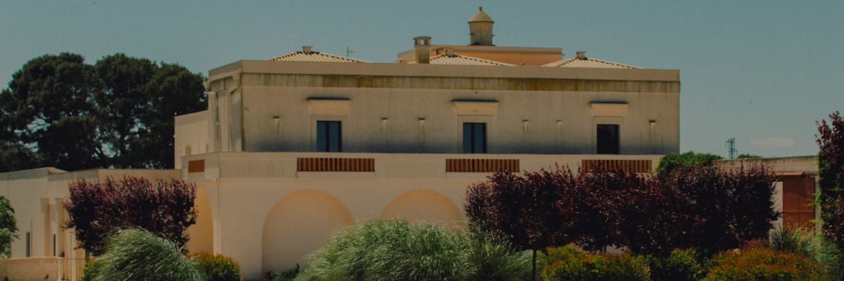 Pomeriggio d’estate: the new Summer 26 collection on CoccoleBimbi